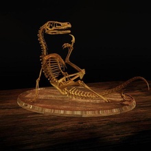 Velociraptor Skelett meme Diorama Philosoph Kunst Dinosaurier Schädel Knochen Museum Tier Anatomie Wissenschaft Körper Wirbelsäule Kiefer Miniaturen Figuren Statue Skulptur 3d print model - Mito3D