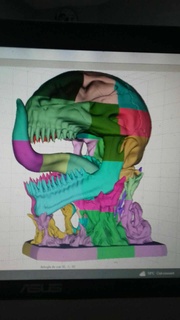 veleno cranio 1 scala 37 pezzi 50 centimetri meraviglia 3d print model - Mito3D