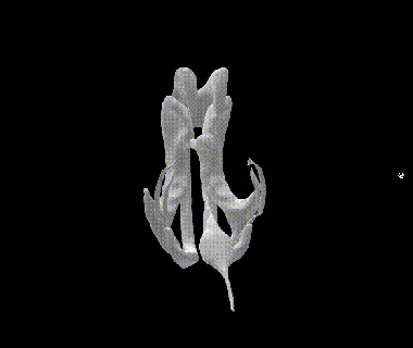 ventricular system cerebellum brain braincuts neuroanatomy hippocamp gangliosbasal troncoencephalic spinalmedulla braincells sistemalimbic neuroscience brainphysiology anatomicurological anatomy neurobiology cisurasilviana cisuraderolando southcentral 3d print model - Mito3D