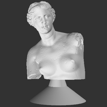Venus milo Büste Kerze Schimmel Kunst Wachs 3d print model - Mito3D