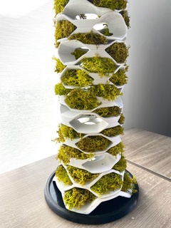 veridiolar kule ev iç dekorasyon deko ofis sergi oda yatak odası am köpük yosun teraryum botanik Sanat heykel bitki örtüsü bitkisel 3d print model - Mito3D