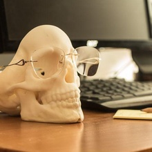 vide poche crâne anatomique modèle art déco Bureau bureau bazar atmosphère décoratif 3d print model - Mito3D