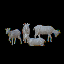 viking farm animals 3d print model - Mito3D