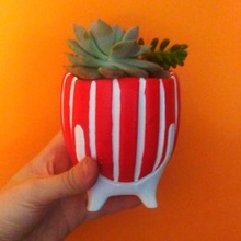 vintage flowerpot pot plants succulents 3d print model - Mito3D