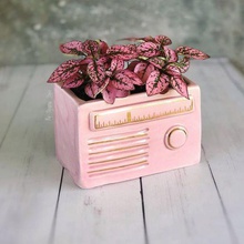 Vintage Radio pentola vaso fiori matera giardino casa impianti 3d print model - Mito3D