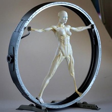 vitruviano hostwestworld art donna statua il logo figura femmina 3d print model - Mito3D