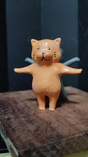 vitruvius animal gato cão engraçado fofa arte brinquedo 3d print model - Mito3D