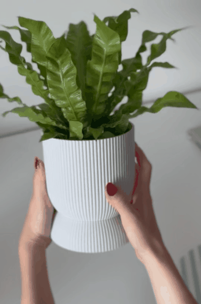 vlnka planter a drip tray vase pot decoration geometric minimalist flower plant pattern textured dripping watering 3d print model - Mito3D