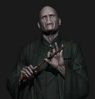 Voldemort atormentar oleiro hagrid bruxaria mundo 3d print model - Mito3D