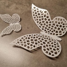 voronoi papillon art déco décoration animal math 3d print model - Mito3D