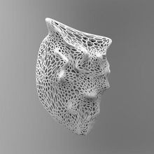 voronoi pic mask fashion art face deco designate parametric masks 3d print model - Mito3D