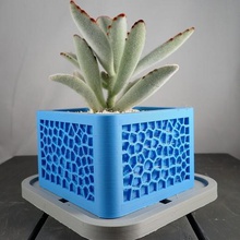 voronoi planter home indoors indoor house house-plants plant plants decor indoor-planter succulent-planter succulent planters cactus cacti succulents 3d print model - Mito3D
