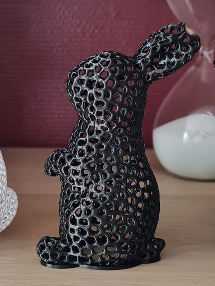 Voronoi Coelho 3D print model - Mito3D