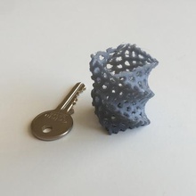 de voronoi simple tordu vase 1 la maison 3d print model - Mito3D