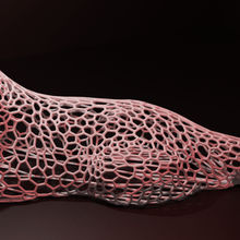 Voronoid kedi hayvan geometrik Sanat 3d print model - Mito3D