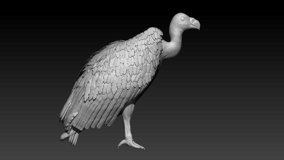 vautour animal zbrush jouet art créatures oiseau serpent 3d print model - Mito3D