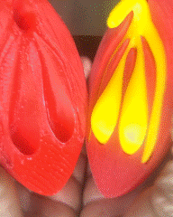 vulva clitoride In piedi vari anatomia formazione scolastica 3D print model - Mito3D