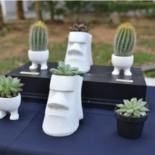 walk potted plants 3d print model - Mito3D
