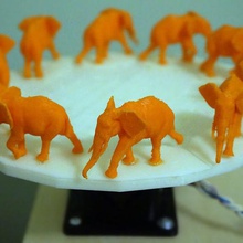 elefante a piedi 3d zoetrope gioco animale animazione animali 3d print model - Mito3D