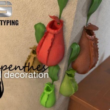 pared decoration nepenthes 3dprinting Sla sls 3d print model - Mito3D