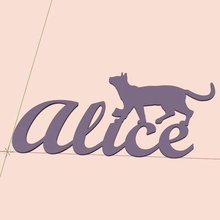 wall door decoration - alice chat first name cat cats feline 3d print model - Mito3D