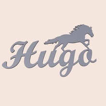 Mauer Tür Dekoration Hugo cheval Name Pferd Pferde 3d print model - Mito3D