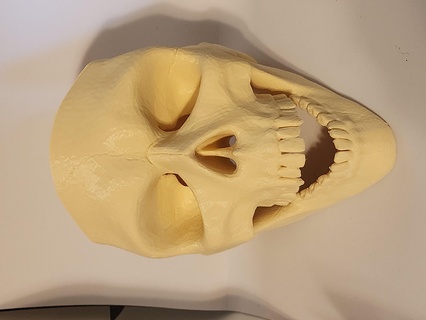 wall mount skull 3d print model - Mito3D