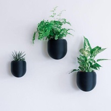 Mauer montiert Pflanzer klein Pflanze Topf modern Designer 3d print model - Mito3D