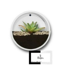wall planter pot home garden 3d print model - Mito3D