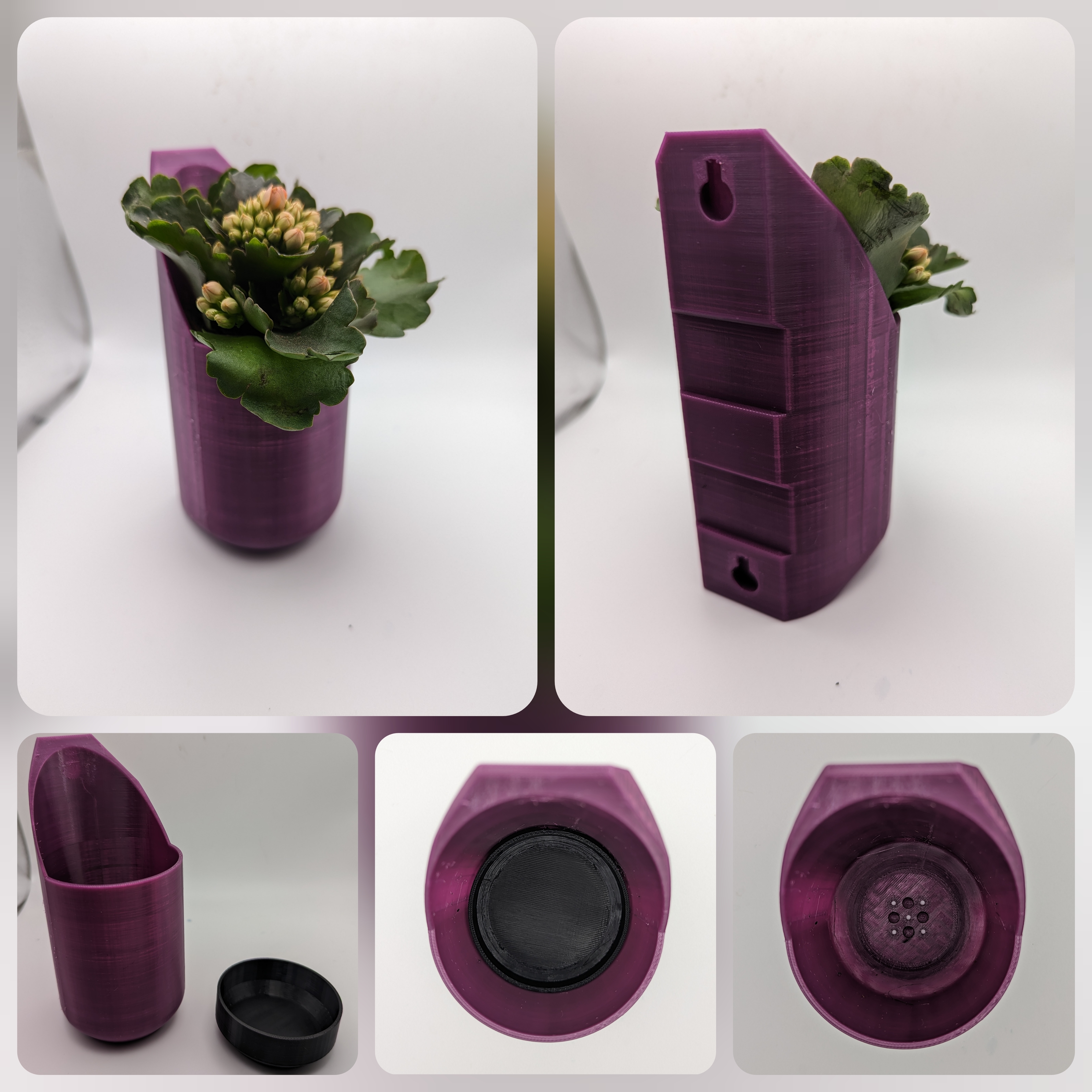 parete fioriera piccolo pianta terrario 3D print model - Mito3D