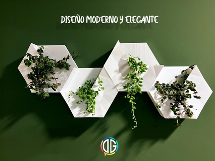 wall planter pot plants home decoration artdeco do-it-yourself hexagon garden 3d print model - Mito3D