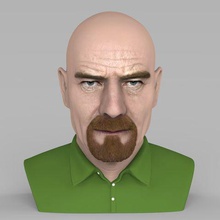 walter white breaking bad bust ready full color 3d printing gadget celebrity actor hollywood statue sculpture figurine miniature heisenberg jesse pinkman 3d print model - Mito3D