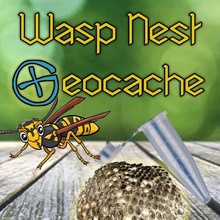 wasp nest geocache hornet's cache 3d print model - Mito3D