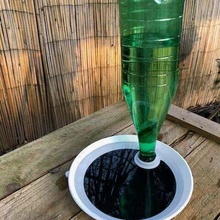 agua dispensador bañera aves pájaro comedero pájaros alimentador botella jardín_al aire libre 3d print model - Mito3D