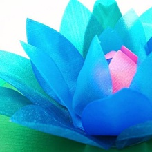 lirio de agua oculto secreto art nenúfar el día san valentín regalos contenedor la apertura amor flor 3d print model - Mito3D