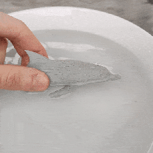 água pulverização golfinho 3d print model - Mito3D