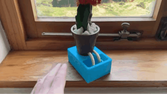 watering desktop planter pot plant succulent self-watering 3d print model - Mito3D