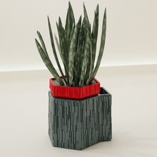 irrigazione pentola 61 foglia cactus natura flora fiore forma astratto ciotola vaso succulenta pianta casalinghi stoviglie generale arredamento botanico giardinaggio verde Casa esagono modello 3d print model - Mito3D