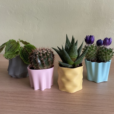 onda panela conjunto vaso plantador flor projeto casa decoração moderno arte interior colorida vasos modo contemporâneo vivo único designs 3d impressão moda inspiração estilo eficiência 3d print model - Mito3D