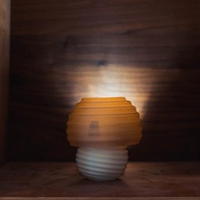 wavy mushroom lamp home 3d print model - Mito3D