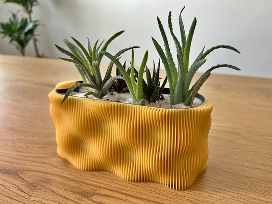 ondulé arrosage pot accueil maison plante succulent 3d print model - Mito3D
