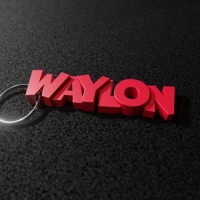 waylon - keyring gadget keychain 3d print model - Mito3D