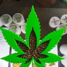 weed leaf decoration ashtray cannabis ganja maryjane green 3d print model - Mito3D