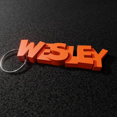 wesley - keyring gadget keychain 3d print model - Mito3D