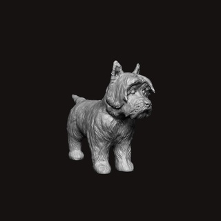 batı teriyer köpek Doggo hayvan Evcil Hayvan minyatür kürk kabarık kürklü mutlu Arkadaş bağırmak arkadaş Veteriner memeli Görüntüle dekor 3d print model - Mito3D