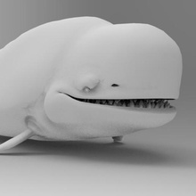 whale art mammal sea marine 3d print model - Mito3D