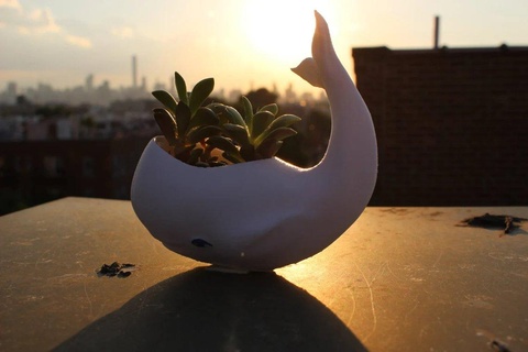 baleine planteur décor pot air plante art 3d print model - Mito3D