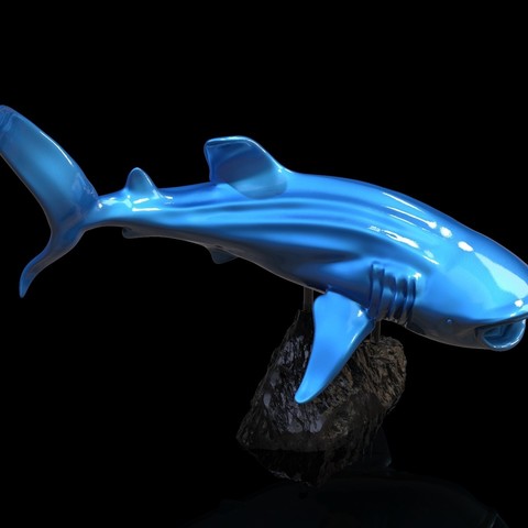 balina köpekbalığı sanat heykeller hayvanlar erkek yetişkin typus rhincodon okyanus deniz balık 3D print model - Mito3D