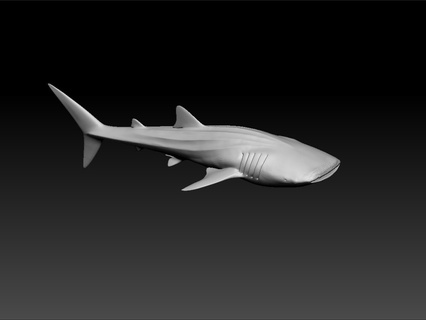 Wal Hai Kunst Schreibtisch Prüfung Modell tolle Tier Wale Sperma Blau Buckel Riese Mörder größte 4k 3d print model - Mito3D