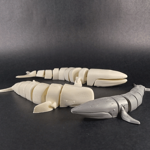 balene collezione flessibile print in place giocattolo balena pesce oceano mare cachalot 3D print model - Mito3D